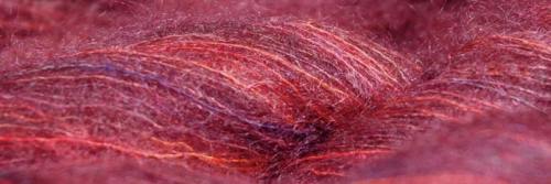 paris_tapis_lrg_697x234